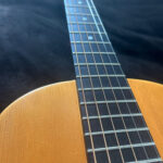 1920s Parlor Guitar pingerboard