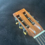 1929s Washburn Parlor Guitar