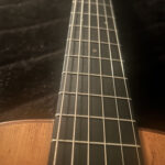 1919 Martin 00- 21 fingerboard