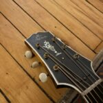 1929 Gibson L-5 peghead